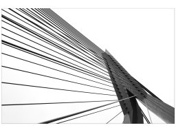Rotterdam 1.